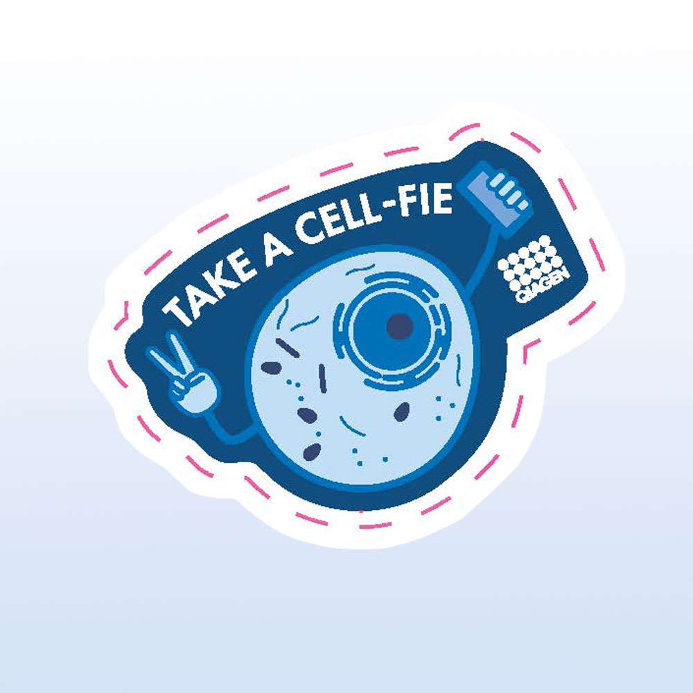 GIVE STKR ST–Take a cell-fie
